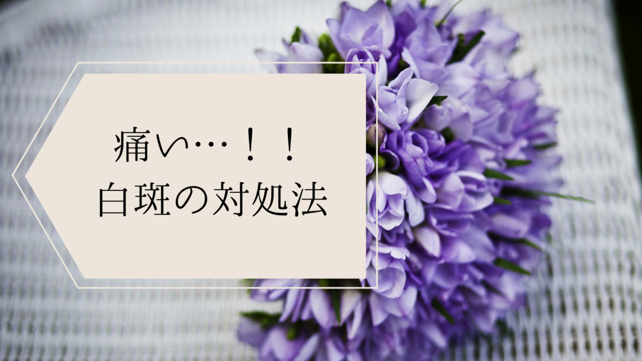 授乳が痛すぎる 助産師から聞いた白斑 乳口炎 の対処法 くじらさんといっしょ